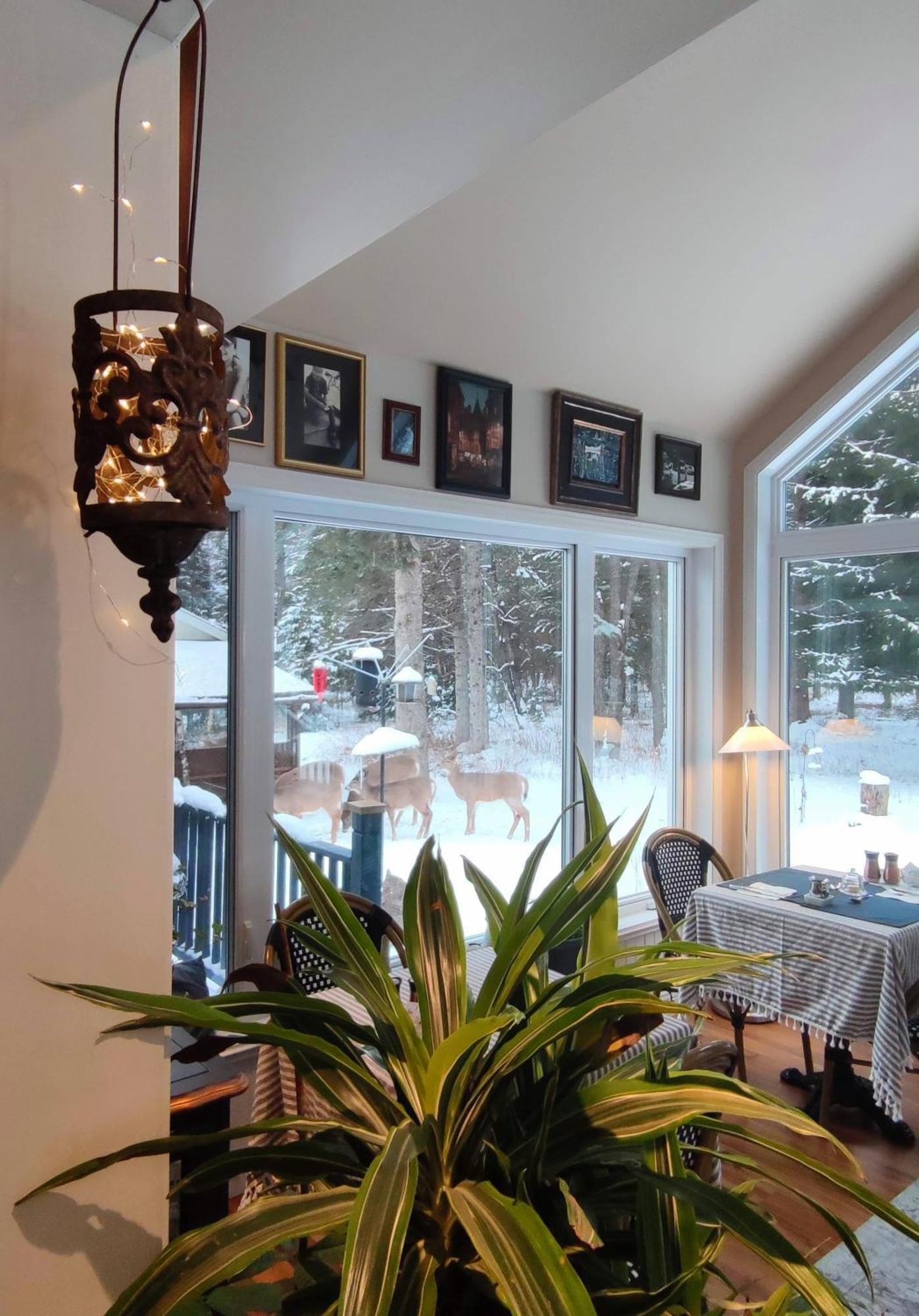 Bed and Breakfast La Tremblante Мон-Трамблан Екстер'єр фото